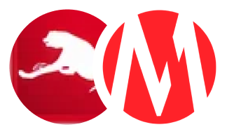 ASA Distribution and Marketize